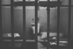 where does bail money go
